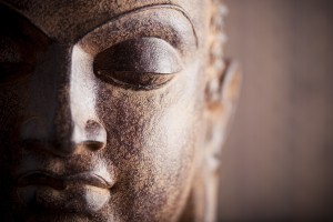 citations bouddha