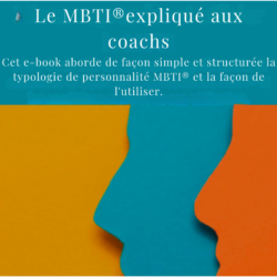 mieux comprendre et utiliser le MBTI