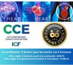 Certification 3 Brains
