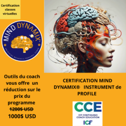 Mind Dynamix® Profile Instrument
