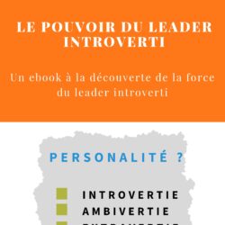 Leaders introvertis