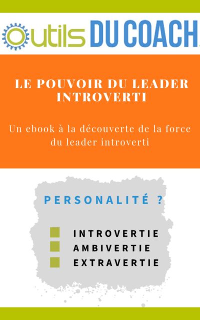 Leaders introvertis