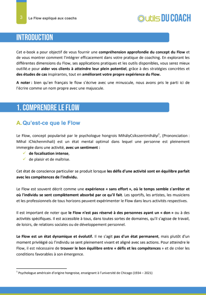 Le Flow expliqué aux coachs - Un ebook conçu par Outils du Coach