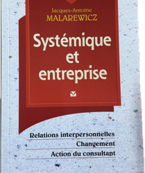 Systémique et entreprise