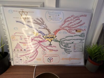 Formation certifiante : Coaching Professionnel Niveau 1 – Image 3