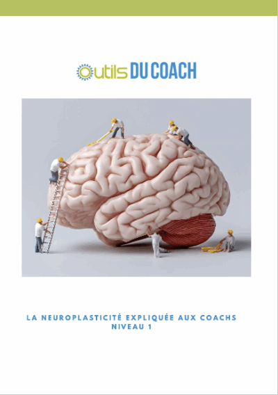 La neuroplasticité expliquée aux coachs - Niveau 1 – Image 2