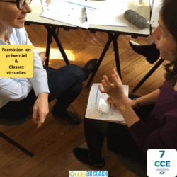 Coacher avec "Graines d'audace"