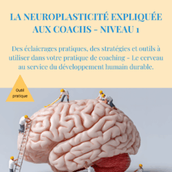 La neuroplasticité expliquée aux coachs - Niveau 1