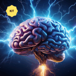 Atelier Brainstorming – La Tempête Neuronale