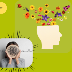 Résilience professionnelle