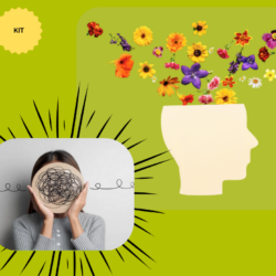 Résilience professionnelle