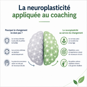 cerveau et changement
