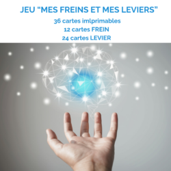 Cartes MES FREINS et MES LEVIERS